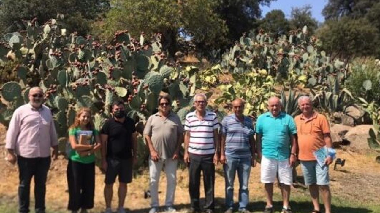 Bodrum'da Organik Tarım Çalıştayı İçin Çalışma Başlatıldı
