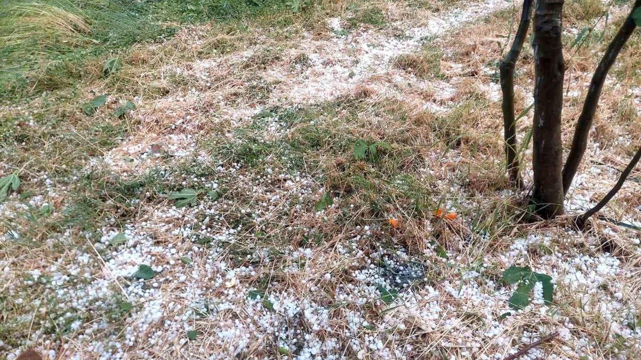 Aydın ve İzmir’de meyve bahçelerini dolu vurdu