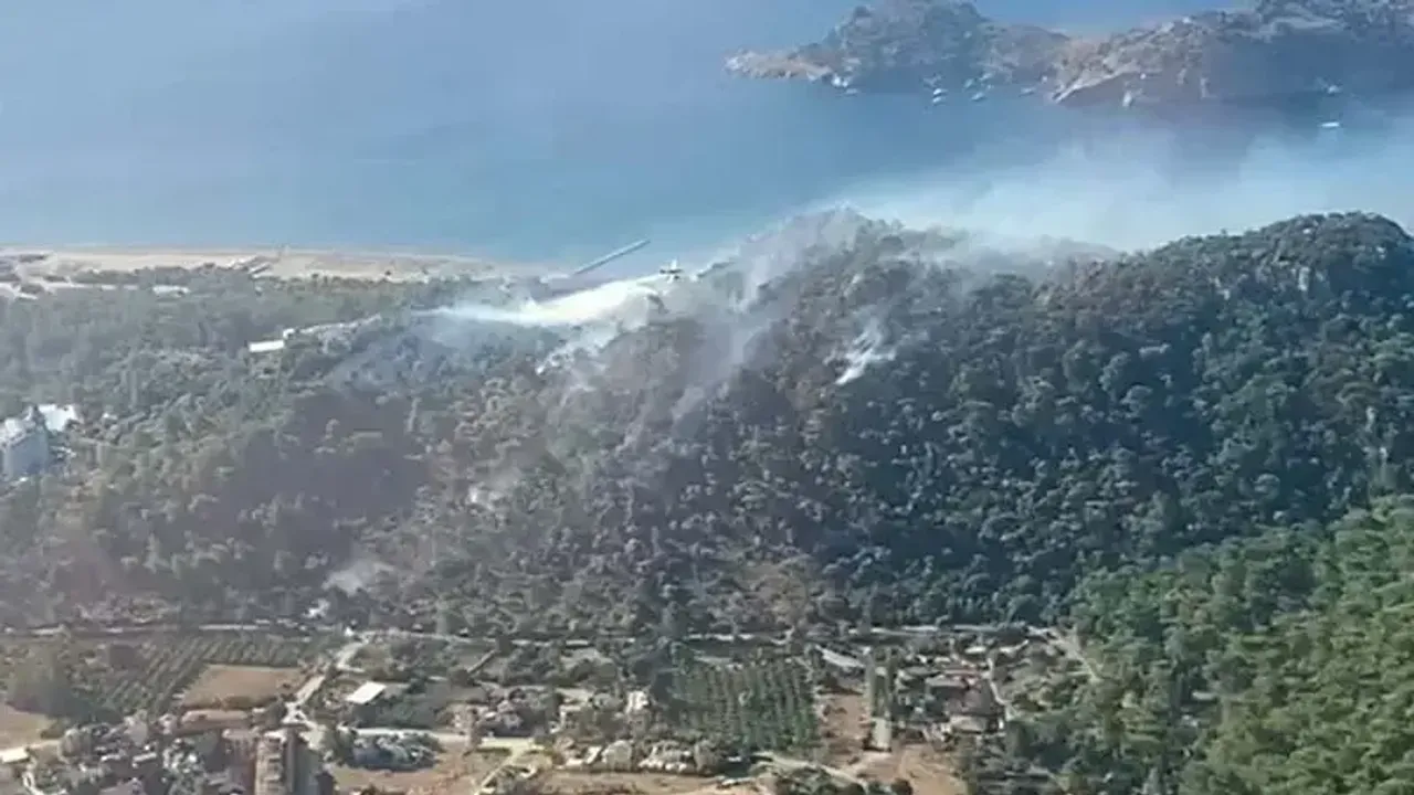 Ormanlar için 'daha önce görülmemiş sıcaklık' uyarısı
