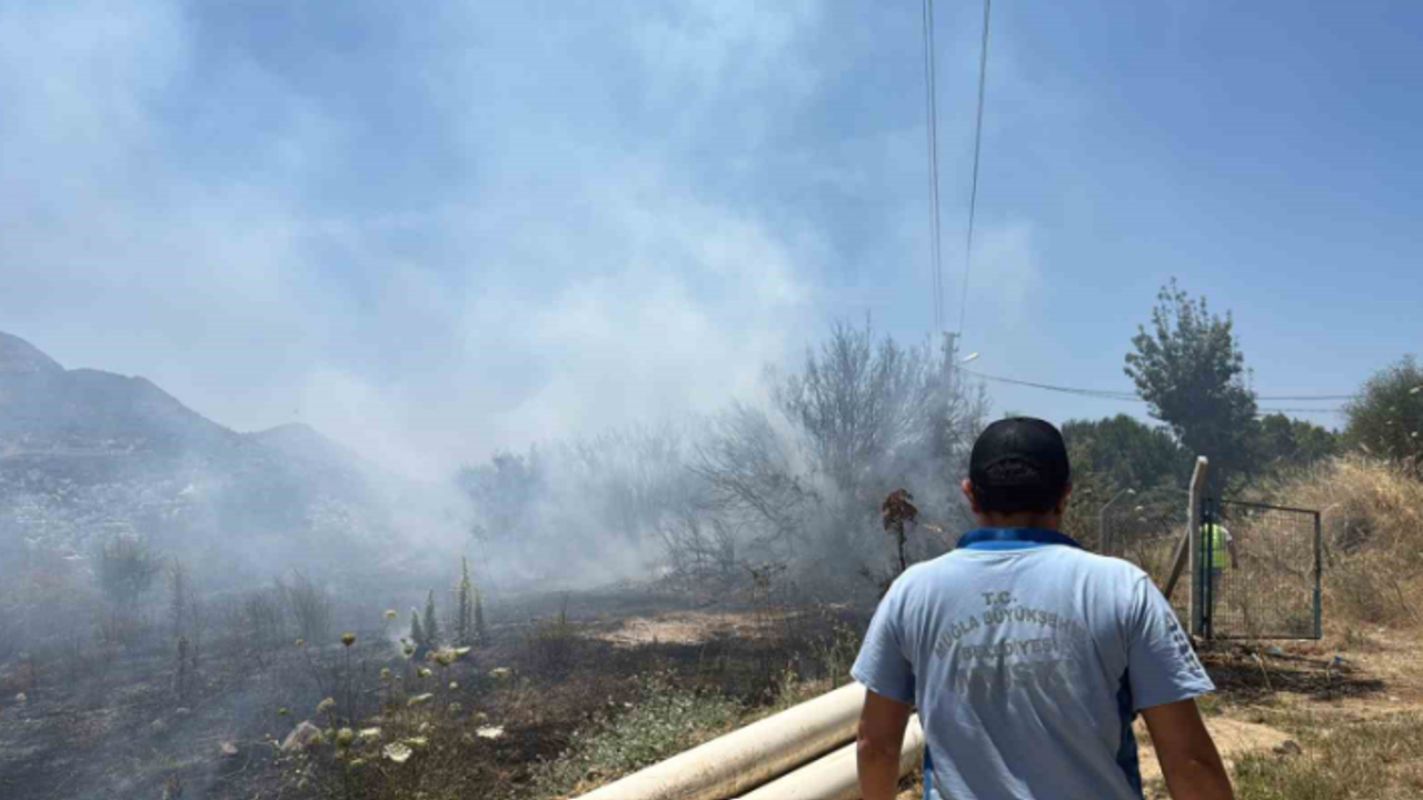 Turgutreis'te çıkan yangın büyümeden söndürüldü