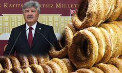 İYİ PARTİLİ METİN ERGUN'DAN MUĞLA'DAKİ COĞRAFİ İŞARETLİ ÜRÜNLERE DESTEK TALEBİ