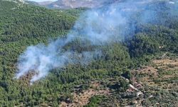 Muğla’nın Menteşe İlçesinde yangın