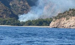 SON DAKİKA: DATÇA DA YANIYOR! MUĞLA'DA 5 FARKLI NOKTADA ALEVLERLE MÜCADELE SÜRÜYOR