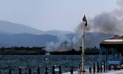 DALAMAN MAVİ KAPLICA BÖLGESİNDE YANGIN PANİĞİ