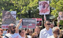 CHP'Lİ VEKİLLER SOKAK HAYVANLARI DÜZENLEMESİNİ ANAYASA MAHKEMESİ'NE TAŞIDI