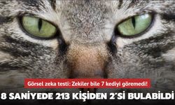 GÖRSEL ZEKA TESTİ: EN ZEKİ OLANLAR BİLE 7 KEDİYİ BULAMADI!