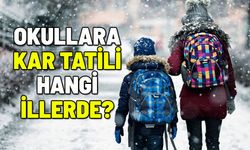 OKULLARA KAR TATİLİ HANGİ İLLERDE?