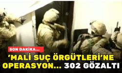 'MALİ SUÇ ÖRGÜTLERİ'NE OPERASYON! 302 GÖZALTI