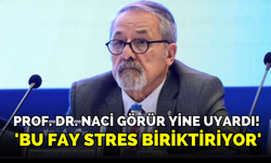 PROF. DR. NACİ GÖRÜR YİNE UYARDI! 'BU FAY STRES BİRİKTİRİYOR'