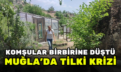 MUĞLA'DA TİLKİ ÖLDÜREN KOMŞUSUNU İHBAR ETTİ, OLANLAR OLDU!