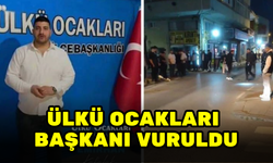 SİLAHLI KAVGADA ÜLKÜ OCAKLARI BAŞKANI VURULDU