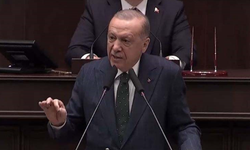 ERDOĞAN YENİ SOKAK HAYVANLARI DÜZENLEMESİNİ AÇIKLADI