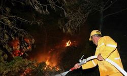 BODRUM GECE BOYUNCA YANDI! ORMAN YANGINI 18. SAATTE SÖNDÜRÜLDÜ