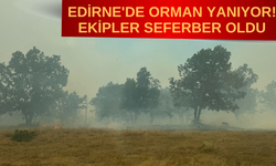 EDİRNE'DE ORMAN YANIYOR! EKİPLER SEFERBER OLDU