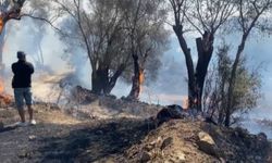 BODRUM İSLAMHANELERİ MAHALLESİ'NDE MAKİLİK ALAN YANGINI SÖNDÜRÜLDÜ