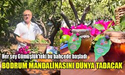 BODRUM MANDALİNASINI DÜNYA TADACAK LOKMACI ANA'NIN SAHİBİ ERDAL AYRAN 3. MARKASIYLA GELİYOR