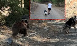 MARMARİS'TE KÖPEĞİYLE YÜRÜYÜŞ YAPAN ADAMIN KARŞISINA AYI YAVRUSU ÇIKTI