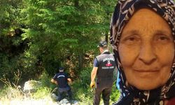 MUĞLA’DA 15 TEMMUZ’DAN BERİ KAYIP OLAN SABRİYE DEDEOĞLU’NUN ARAMA ÇALIŞMALARI SÜRÜYOR!