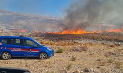 Bodrum'da ot yangını: İki saat sonra kontrol altına alındı