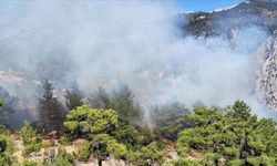 KAŞ'TA ORMAN YANGINI! ALEVLERE MÜDAHALELER SÜRÜYOR