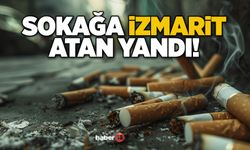 Bodrum'da izmarit denetimi: Zabıta ekipleri tek tek tespit ediyor!