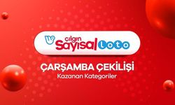 ÇILGIN SAYISAL LOTO 🎉 20 Kasım Sayısal Loto kazanan numaralar Joker SüperStar