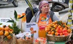 Bodrum Mandalin Festivali renkli görüntülerle sona erdi