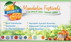 Geleneksel Bodrum Mandalin Festivali renkli görüntülere sahne olacak