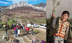 Muğla’da yangından zarar gören arazilere umut; Zeytin fidanı dağıtım kampanyası