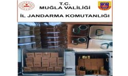 Menteşe'de jandarma operasyonuyla bin 520 litre sahte zeytinyağı ele geçirildi