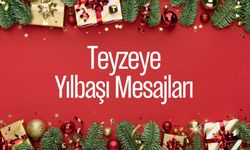 Teyzeye yılbaşı mesajları 2025! Teyzeye en güzel yeni yıl tebrik mesajı