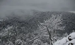 Muğla'da sağanak yağış ve kar bekleniyor!