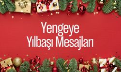 Yengeye yılbaşı mesajları 2025! Yengeye en güzel yeni yıl tebrik mesajı