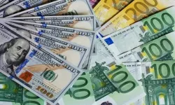 24 Ocak'ta dolar ve euro güne nasıl başladı?