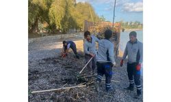 Rodos’un pisliği Datça’yı vurdu; Yeniden temizlik çalışmaları planlandı