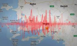 Ege Denizi'nde son bir günde 30'dan fazla deprem oldu