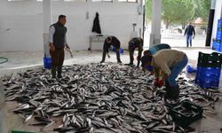 Muğla’nın Ocak ayı ihracat rakamları belli oldu!