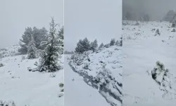 Muğla’ya yılın ilk karı düştü!
