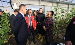 Muğla Valisi Çizmeleri Giydi, Seraları Gezdi, Çiftçiye Kulak Verdi