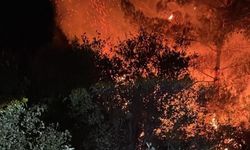 Dalaman'daki orman yangını büyümeden söndürüldü