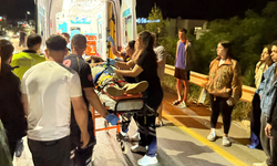 Bodrum'da motosiklet domuza çarptı: İki yaralı