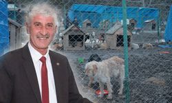Köyceğiz Belediye Başkanı Erdoğan'a soruşturma izni gerekçesi: 'Sokak hayvanları'