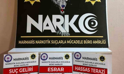 Muğla'da zehir tacirlerine operasyon: 4 tutuklama