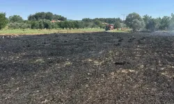 Menteşe'de akıma kapılan kuş yangına neden oldu