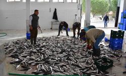 Muğla ihracatını artıran iller arasında yer aldı