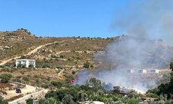 Bodrum'da yine makilik yangını: Kontrol altında