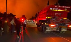 Biri bitmeden öteki başlıyor: Fethiye'de gece orman yangını