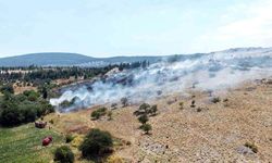 Menteşe'deki makilik ve zeytinlik yangını kontrol altında