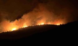 Milas'ta yangın durdurulamadı: 1.120 kişiye tahliye, 350 otel, 770 site boşaltıldı