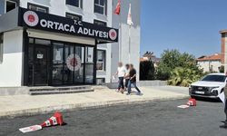 Ortaca'daki orman yangını: Bir şüpheli gözaltında